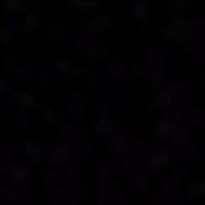 Meet your Posher, Carla